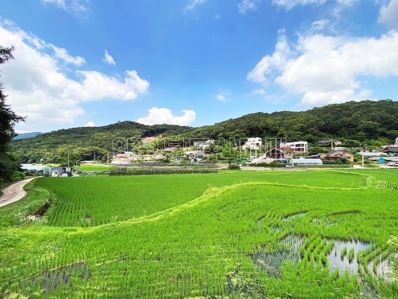 양평군 양서면 도곡리 농지_25